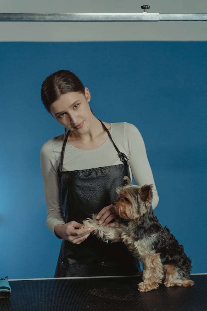 Woman in Black Apron Holding Paw of Black and Brown Long Coated Small Dog Sitting on Black Table